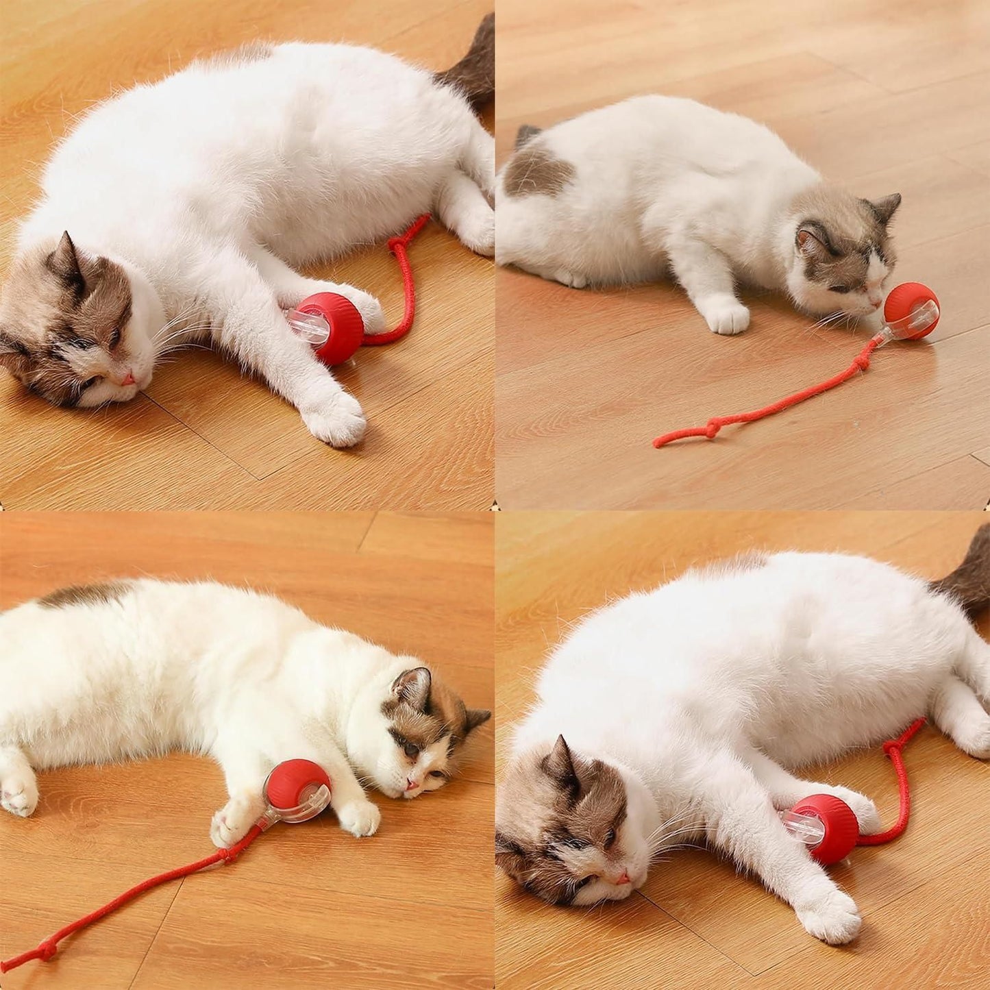 Viral Rolling Ball,Interactive Cat Ball Toys