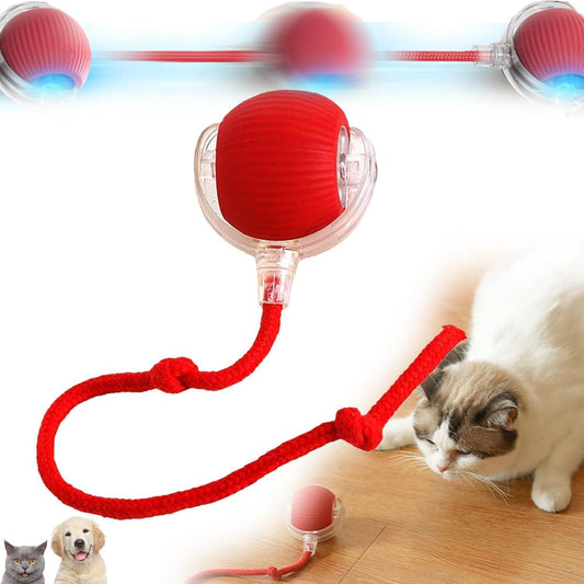 Viral Rolling Ball,Interactive Cat Ball Toys